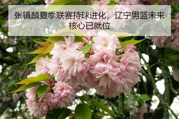 zhang-zhen-lin-xia-ji-lian-sai-chi-qiu-jin-hua-liao-ning-nan-lan-wei-lai-he-xin-yi-jiu-wei-3-776.jpg