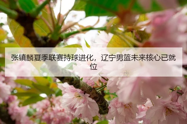 张镇麟夏季联赛持球进化，辽宁男篮未来核心已就位