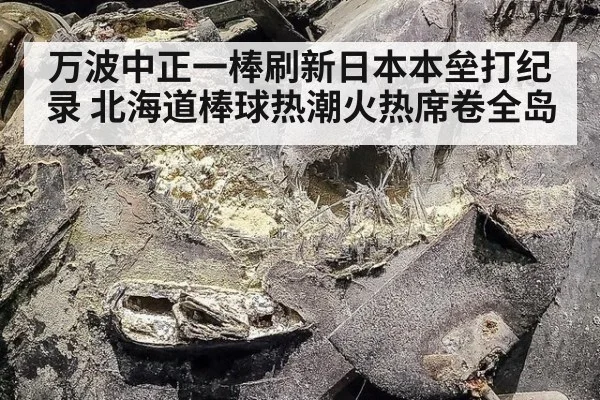 万波中正一棒刷新日本本垒打纪录 北海道棒球热潮火热席卷全岛